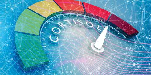 Jakie szkody może powodować podwyższony poziom kortyzolu-hormonu stresu?