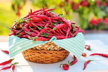  Przeciwbólowe przyprawy i spółka 