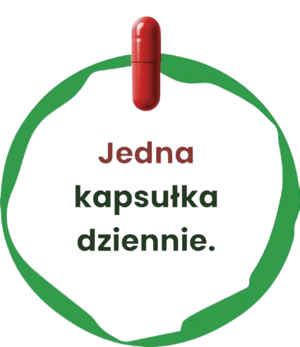 1_kapsułka_dziennie
