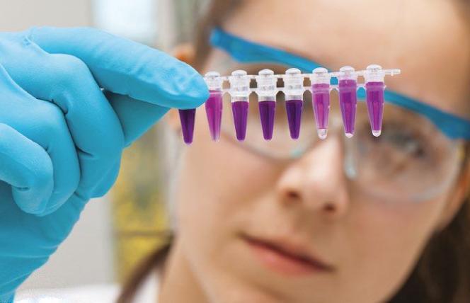 Biochemiczne przyczyny depresji - jakie badania zrobić?