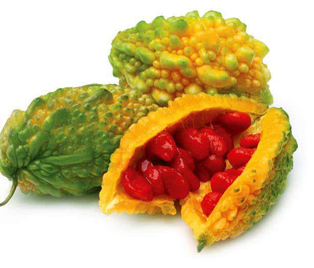 Przepękla ogórkowata