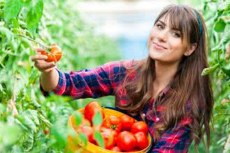 Czy wyciąg z pomidorów może chronić przed zawałem i udarem mózgu?