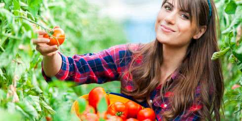 Czy wyciąg z pomidorów może chronić przed zawałem i udarem mózgu?
