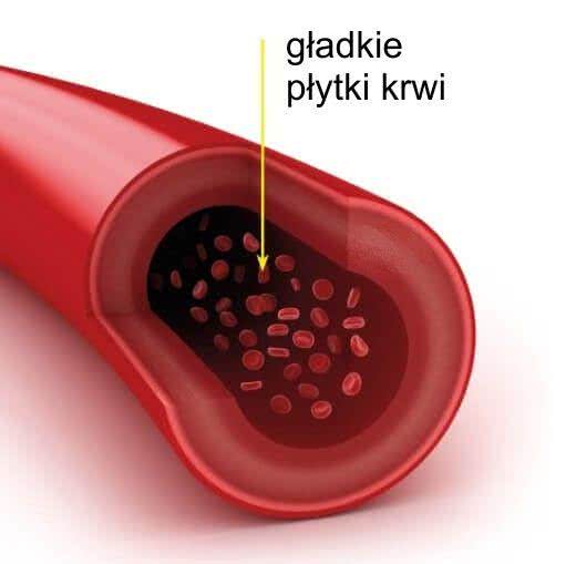 Gładkie płytki krwi