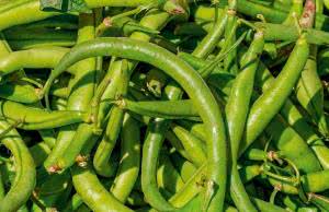 To warto wiedzieć - ciekawostki na temat zdrowia