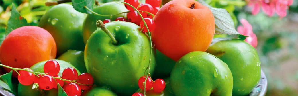 Dieta antyrakowa - co jeść by uniknąć nowotworu?