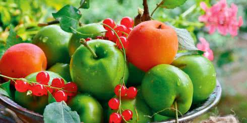 Dieta antyrakowa - co jeść by uniknąć nowotworu?