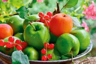 Kamila Makowska-Serkis