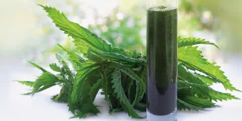 Rak prostaty - co jeść i jakie suplementy zażywać by zmniejszyć ryzyko?