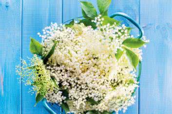 Sprzymierzeńcy w walce z kaszlem