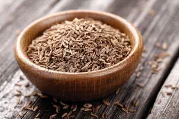 NASZ ZIELNIK Kminek zwyczajny