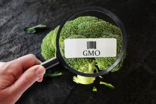 Żywność GMO - szansa czy zagrożenie?
