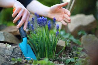 Redakcja Oczymlekarze.pl