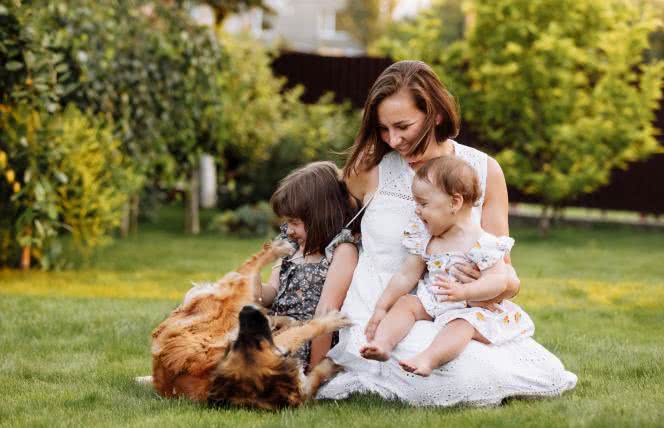 Zwierzęta, które leczą