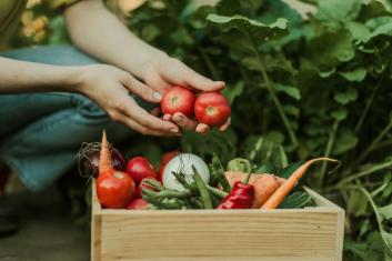 Wykłady Doktor Myhill