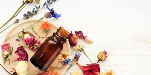 Terapia kwiatowa dr. Bacha i jej działanie na stres