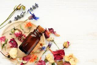 Terapia kwiatowa dr. Bacha i jej działanie na stres