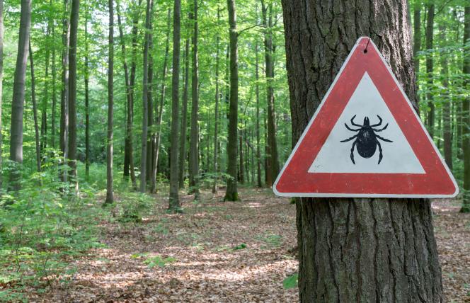 Roślinne wsparcie w walce z boreliozą