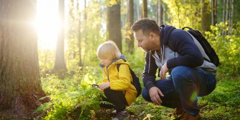 Nieznane choroby odkleszczowe