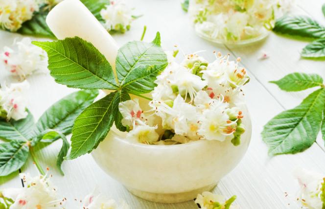 Ziołowa apteczka na stłuczenia i zwichnięcia