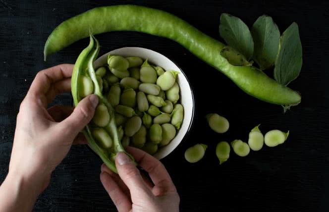 Bób - pyszne i zdrowe przepisy na lato