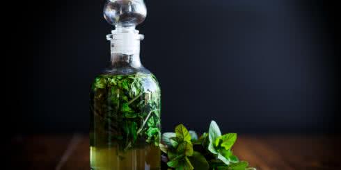 Syrop z mięty – właściwości prozdrowotne i prosty przepis