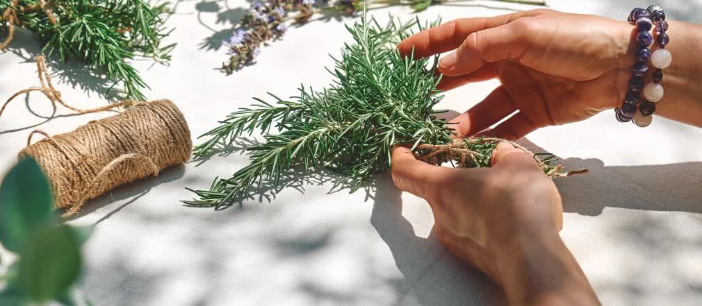 Ziołowa apteczka - najlepsze zioła o działaniu oczyszczającym