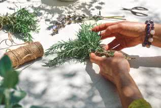Ziołowa apteczka - najlepsze zioła o działaniu oczyszczającym