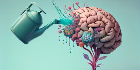 Jak spowolnić starzenie się mózgu?