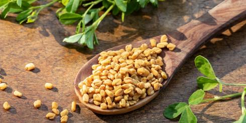 Ta niepozorna roślinka obniża poziom cukru, leczy wrzody i wspiera wątrobę