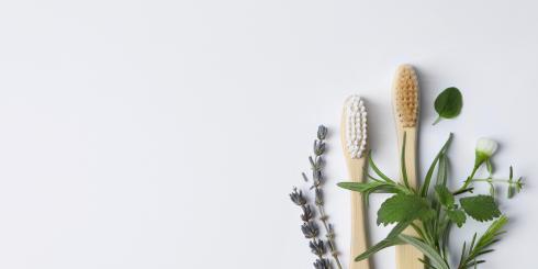 Stomatolog by je polecił. Te zioła leczą dziąsła i jamę ustną