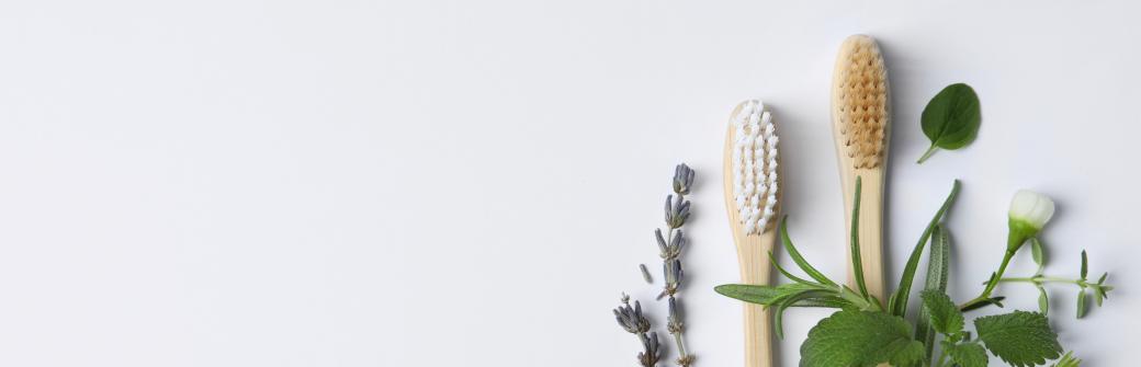 Stomatolog by je polecił. Te zioła leczą dziąsła i jamę ustną