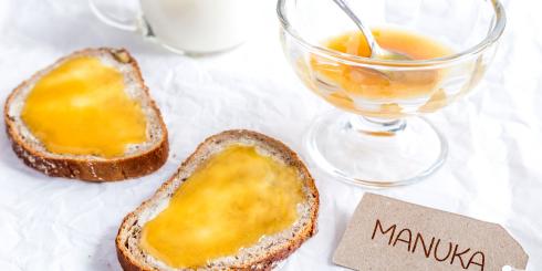 Miód manuka - złoto w płynie
