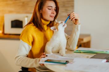 Nie bój się zaczynać od nowa