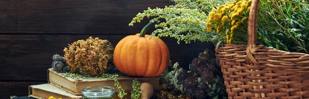 Naturalne terapie na infekcje pasożytnicze