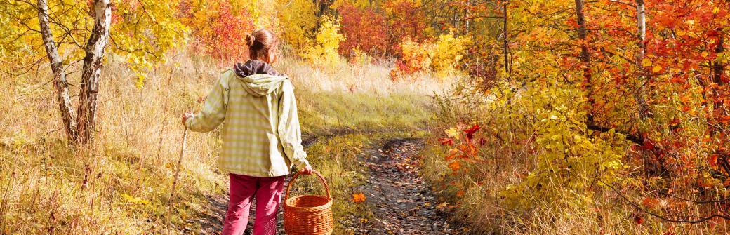 Borelioza – wszystko, co musisz o niej wiedzieć
