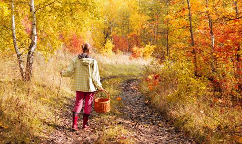 Borelioza – wszystko, co musisz o niej wiedzieć