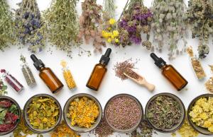 Zdrowie zapisane w ziołach