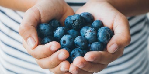 Borówki i dzika róża - owoce doskonałe na jesień
