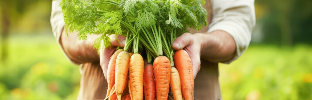 Marchewka - warzywo najzdrowsze ze wszystkich