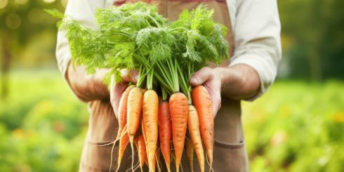Marchewka - warzywo najzdrowsze ze wszystkich