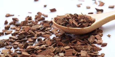 Wierzba biała - źródło naturalnej aspiryny