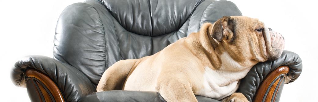 Chcesz schudnąć? Rusz się wreszcie!