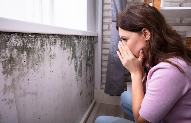 Dziwne bóle, bezsenność, a nawet mgła mózgowa - być może winny tych objawów zamieszkał w Twoim domu