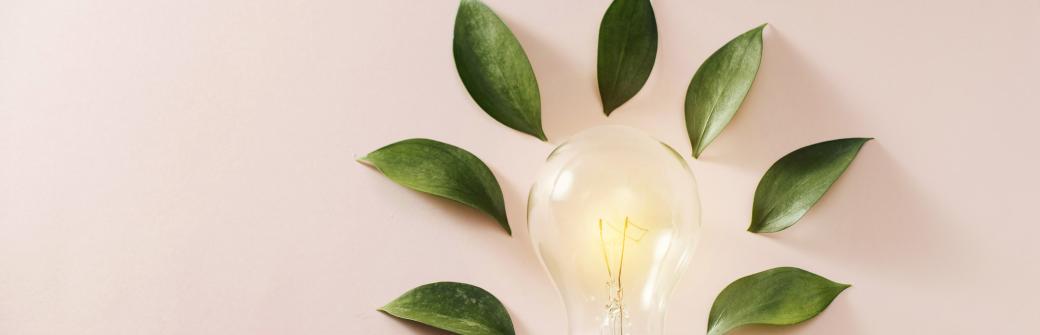 Padasz ze zmęczenia, a masz mnóstwo roboty? Oto 8 roślin, które ekspresem postawią Cię na nogi