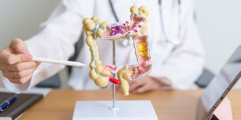 Astma, trądzik, egzema - te choroby rodzą się w jelitach