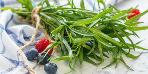 Niszczy bakterie, wspiera trawienie, uspokaja. Pora docenić to zioło