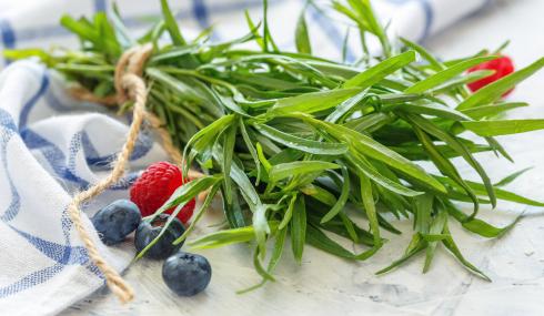 Niszczy bakterie, wspiera trawienie, uspokaja. Pora docenić to zioło