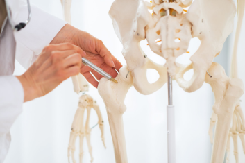 Zależne od wysiłku zmiany w perfuzji okostnej kości udowej