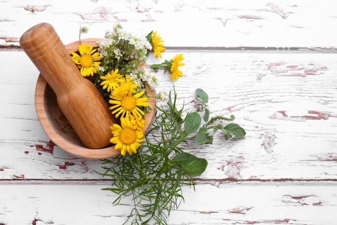 Na pajączki i żylaki pomoże nie tylko kasztanowiec